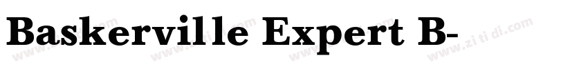 Baskerville Expert B字体转换